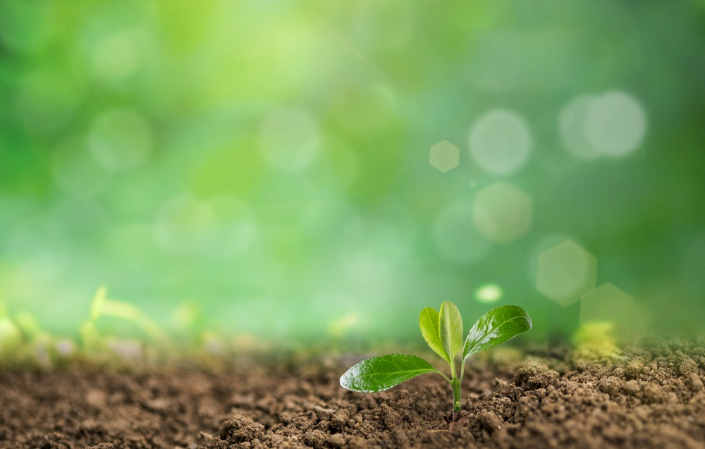 1646099755152600.png 1646099755152600.png