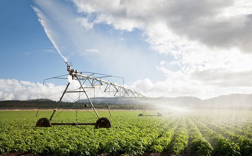 1646727358599621.png image.png