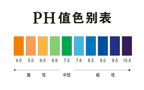 1647329196919274.png image.png