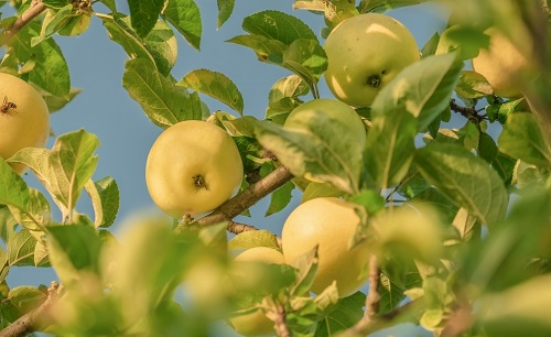 1647502006141005.png image.png