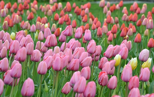 1648017608209411.png image.png