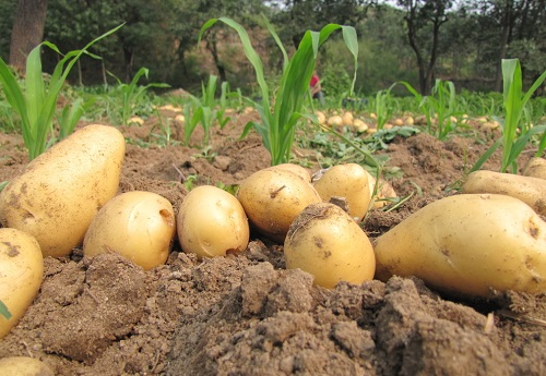 1648879013726765.png image.png