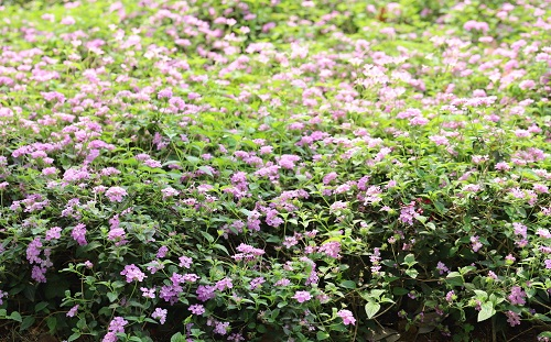 1649397494179044.png image.png