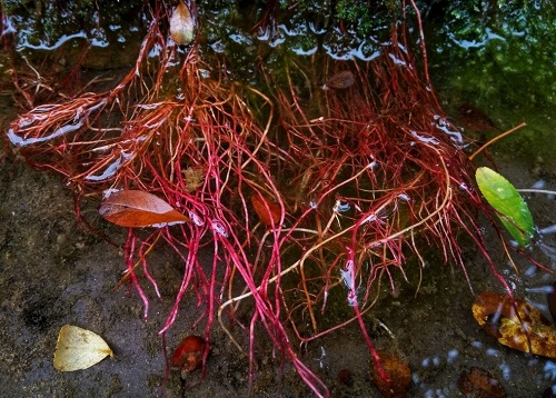 1649742444190055.png image.png