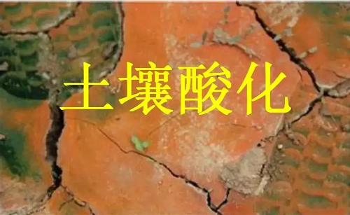 1652239955160621.png image.png