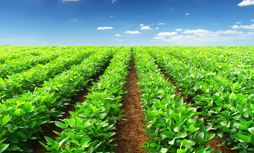 1652413001357175.png image.png