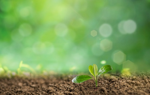 1653880129108543.png image.png