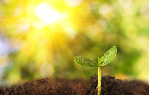 1655088670792057.png image.png