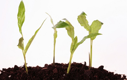 1656471962301002.png image.png