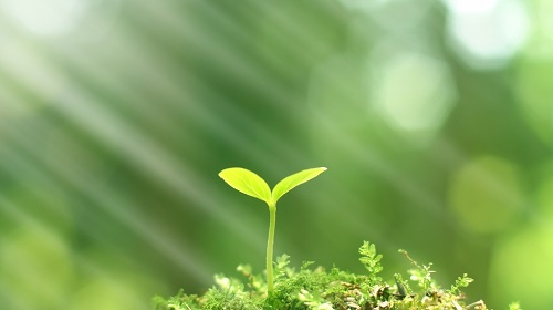 1657162851948166.png image.png