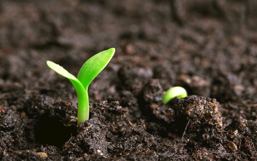 1657507558172063.png image.png