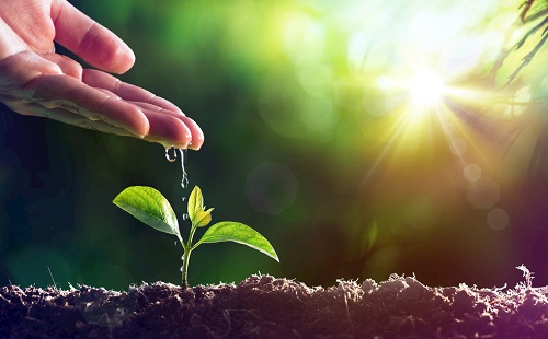 1658719910159923.png image.png