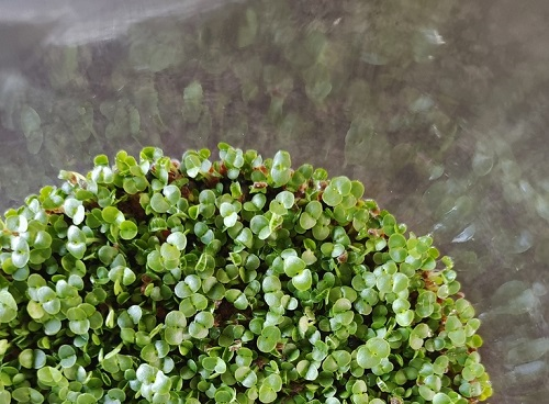 1658975636125485.png image.png