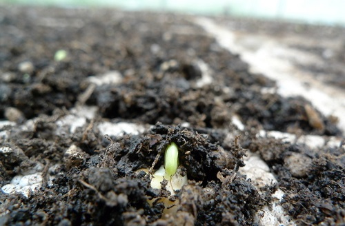 1659059180668094.png image.png