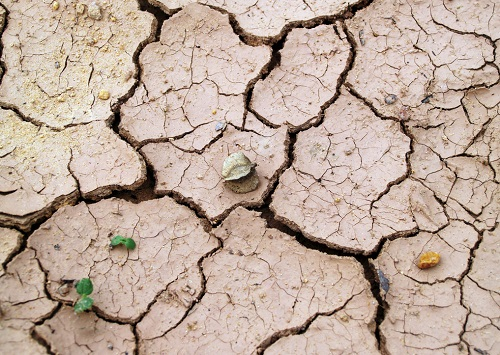 1660545019314964.png image.png