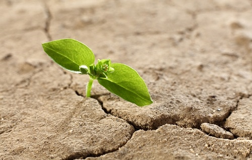 1661224901794910.png image.png