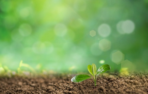 1666072981320569.png image.png