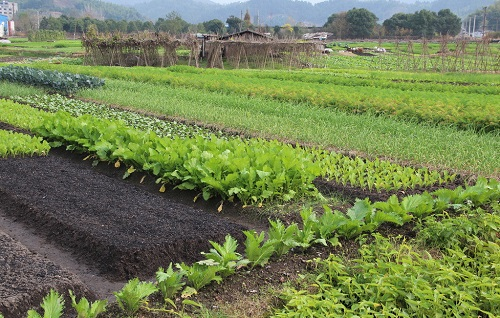 1666752728188980.png image.png