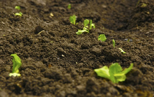 1667546674245176.png image.png