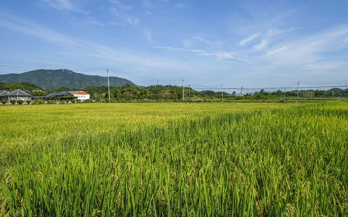 1669357171161277.png image.png