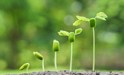 1669707708359681.png image.png