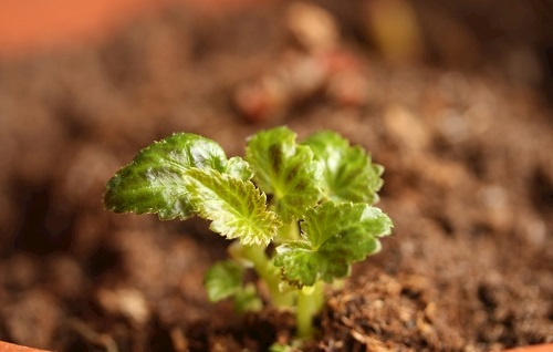 1672123763178052.png image.png