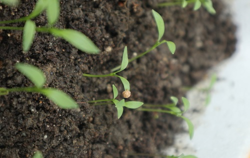 1675833632526392.png image.png