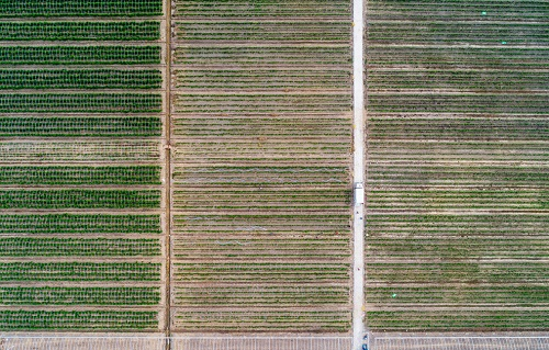 1677814835735958.png image.png