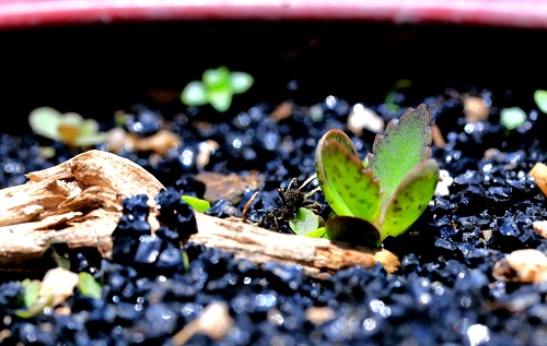 1678074146157777.png image.png