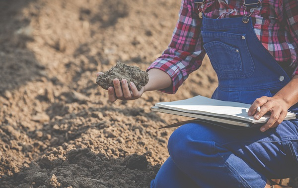 1678255948109570.png image.png