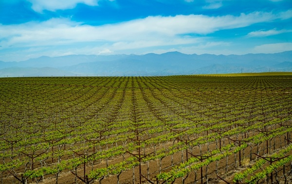 1678685487189324.png image.png