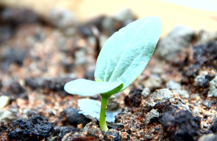 土壤團粒結構分析儀