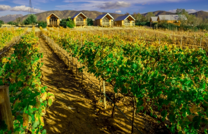 1679638263248651.png 1679638263248651.png