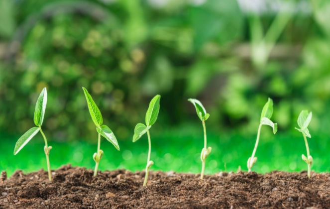 1681194150169523.png 土壤酸堿度速測(cè)儀的自我介紹