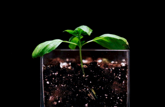 1681890236159301.png 土壤養(yǎng)分速測儀