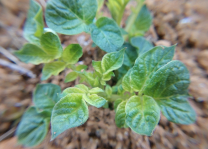 1683349498124734.png 1683349498124734.png