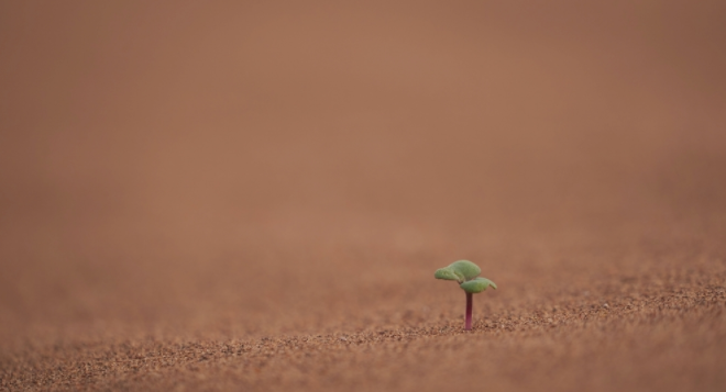 1685066801155007.png 土壤墑情監(jiān)測系統(tǒng)